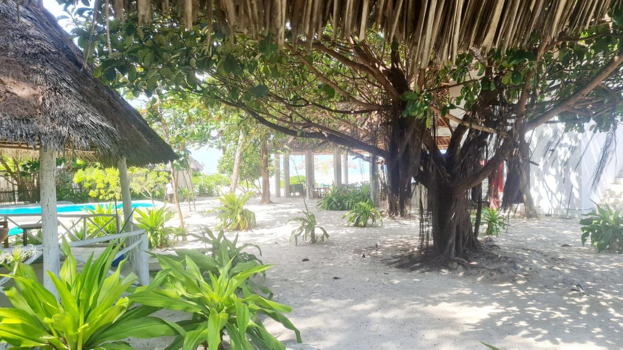 Garden Beach Bungalows Jambiani Джамбиани Екстериор снимка